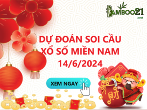 Soi Cầu XSMN 14/6/2024