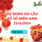 Soi Cầu XSMN 25/6/2024