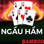 Bài Ngầu Hầm Là Gì? Cách Chơi Bài Ngầu Hầm Tại Bamboo21