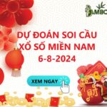 Soi Cầu XSMN 6/8/2024