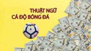 Thuật ngữ bóng đá