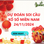 Soi Cầu XSMN 24/11/2024