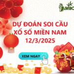 Soi Cầu XSMN 12/3/2025