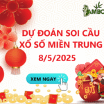 Soi Cầu XSMT 8/5/2025